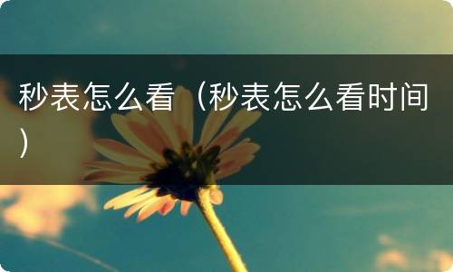 秒表怎么看（秒表怎么看时间）