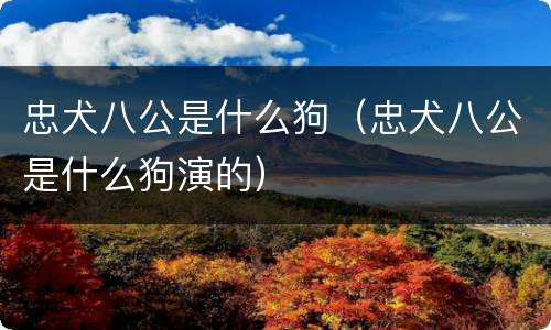 忠犬八公是什么狗（忠犬八公是什么狗演的）