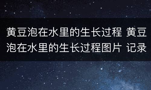 黄豆泡在水里的生长过程 黄豆泡在水里的生长过程图片 记录