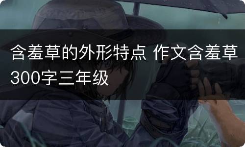 含羞草的外形特点 作文含羞草300字三年级