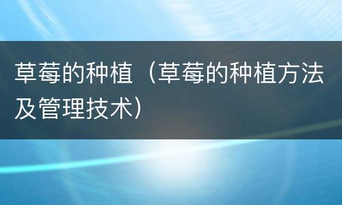 草莓的种植（草莓的种植方法及管理技术）