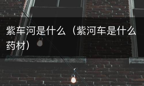 紫车河是什么（紫河车是什么药材）