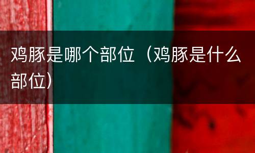 鸡豚是哪个部位（鸡豚是什么部位）