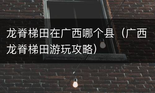 龙脊梯田在广西哪个县（广西龙脊梯田游玩攻略）