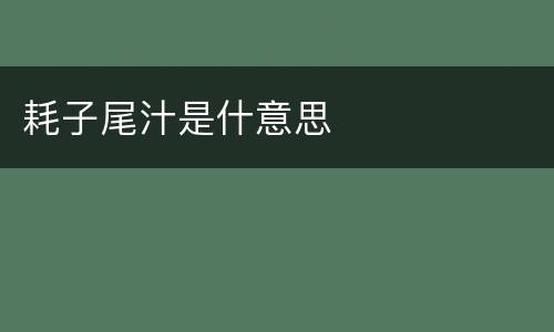 耗子尾汁是什意思