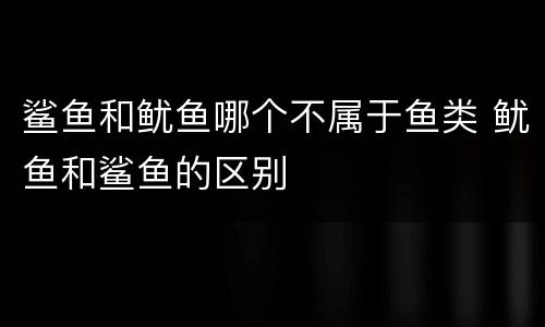 鲨鱼和鱿鱼哪个不属于鱼类 鱿鱼和鲨鱼的区别