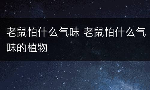 老鼠怕什么气味 老鼠怕什么气味的植物