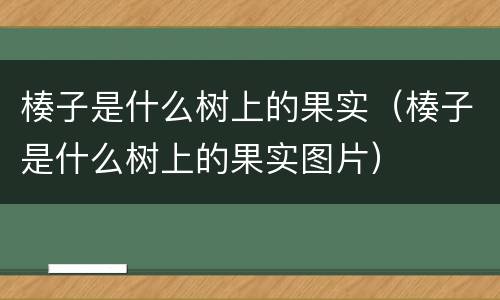 楱子是什么树上的果实（楱子是什么树上的果实图片）
