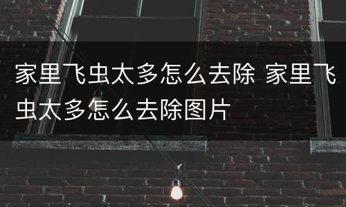 家里飞虫太多怎么去除 家里飞虫太多怎么去除图片