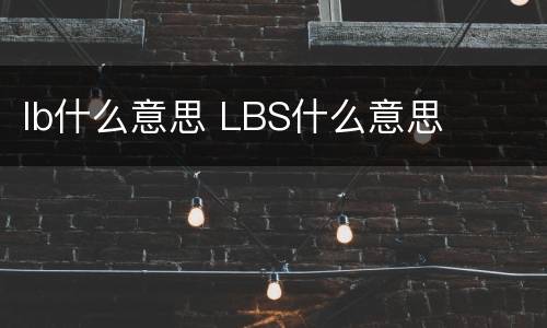 lb什么意思 LBS什么意思