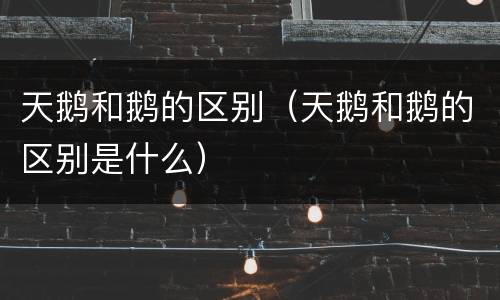 天鹅和鹅的区别（天鹅和鹅的区别是什么）