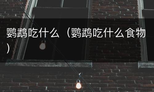 鹦鹉吃什么（鹦鹉吃什么食物）
