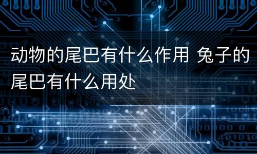 动物的尾巴有什么作用 兔子的尾巴有什么用处