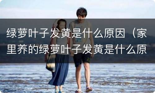 绿萝叶子发黄是什么原因（家里养的绿萝叶子发黄是什么原因）