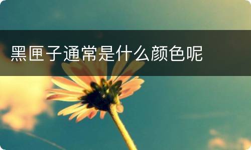 黑匣子通常是什么颜色呢