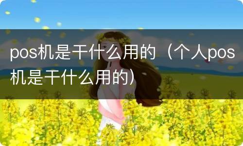 pos机是干什么用的(个人pos机是干什么用的) pos机是干什么用的(个人pos机是干什么用的)