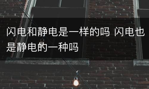 闪电和静电是一样的吗 闪电也是静电的一种吗