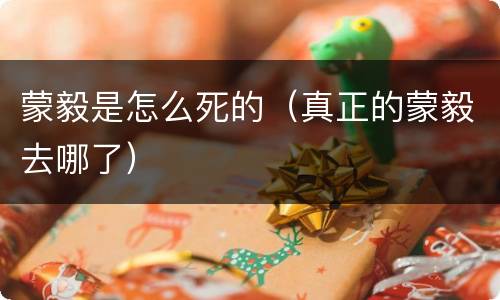 蒙毅是怎么死的（真正的蒙毅去哪了）