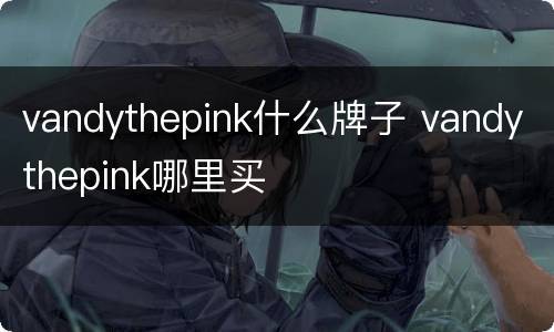 vandythepink什么牌子 vandythepink哪里买