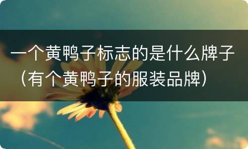 一个黄鸭子标志的是什么牌子（有个黄鸭子的服装品牌）