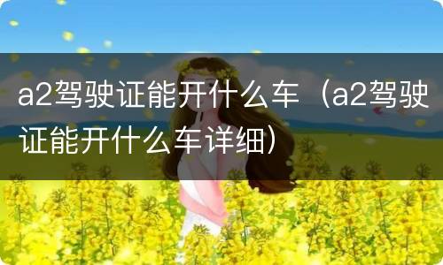 a2驾驶证能开什么车（a2驾驶证能开什么车详细）