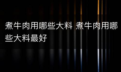 煮牛肉用哪些大料 煮牛肉用哪些大料最好