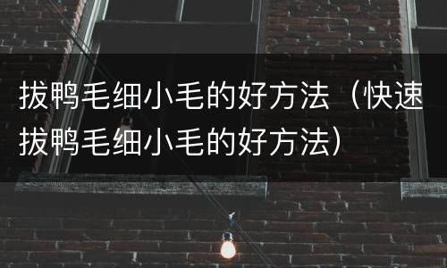 拔鸭毛细小毛的好方法（快速拔鸭毛细小毛的好方法）