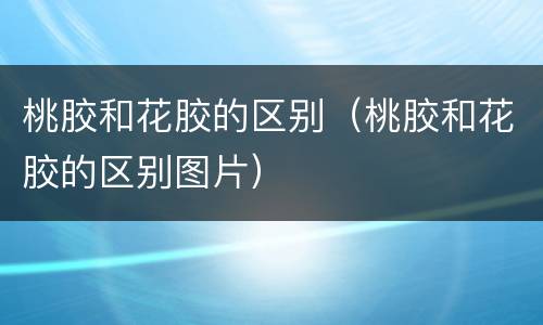 桃胶和花胶的区别（桃胶和花胶的区别图片）