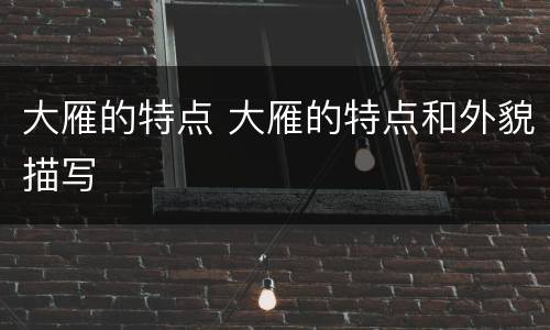 大雁的特点 大雁的特点和外貌描写
