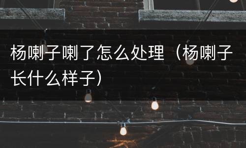 杨喇子喇了怎么处理（杨喇子长什么样子）