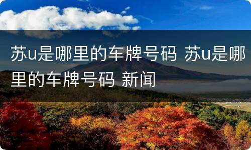 苏u是哪里的车牌号码 苏u是哪里的车牌号码 新闻