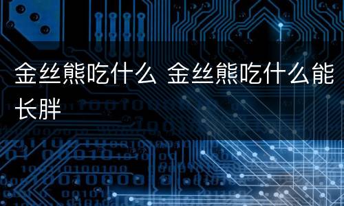 金丝熊吃什么 金丝熊吃什么能长胖