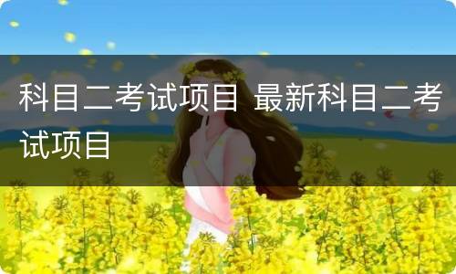 科目二考试项目 最新科目二考试项目