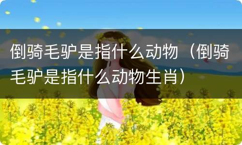 倒骑毛驴是指什么动物（倒骑毛驴是指什么动物生肖）