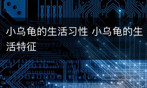 小乌龟的生活习性 小乌龟的生活特征