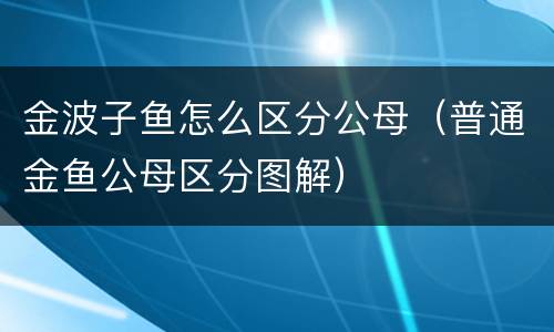 金波子鱼怎么区分公母（普通金鱼公母区分图解）