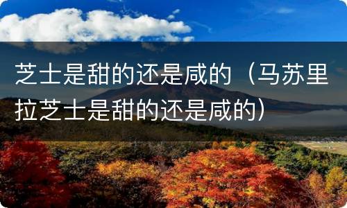 芝士是甜的还是咸的（马苏里拉芝士是甜的还是咸的）