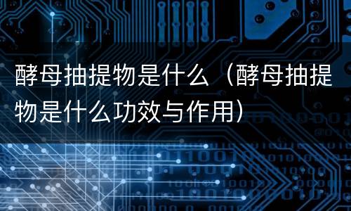 酵母抽提物是什么（酵母抽提物是什么功效与作用）