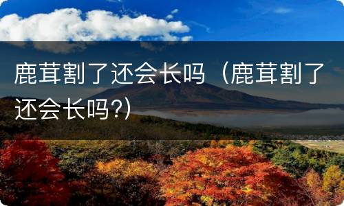 鹿茸割了还会长吗（鹿茸割了还会长吗?）