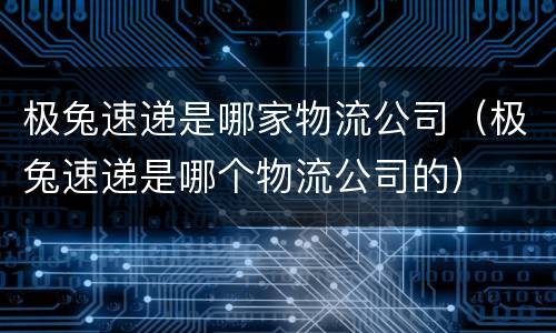 极兔速递是哪家物流公司（极兔速递是哪个物流公司的）