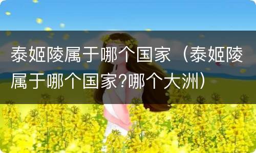 泰姬陵属于哪个国家（泰姬陵属于哪个国家?哪个大洲）