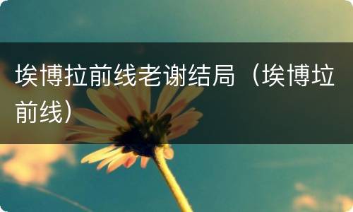 埃博拉前线老谢结局（埃博垃前线）