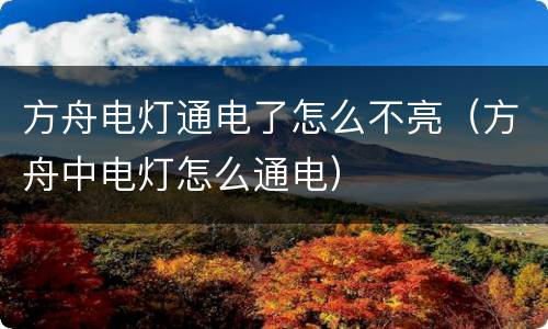 方舟电灯通电了怎么不亮（方舟中电灯怎么通电）