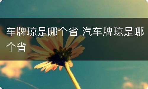 车牌琼是哪个省 汽车牌琼是哪个省