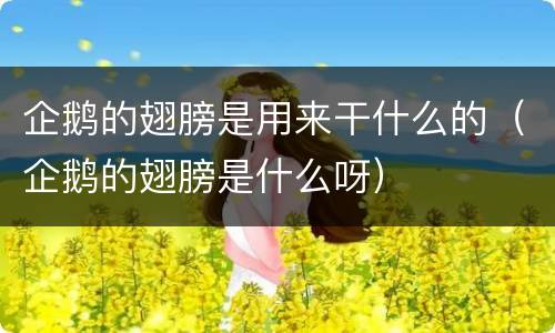 企鹅的翅膀是用来干什么的（企鹅的翅膀是什么呀）