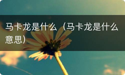 马卡龙是什么（马卡龙是什么意思）