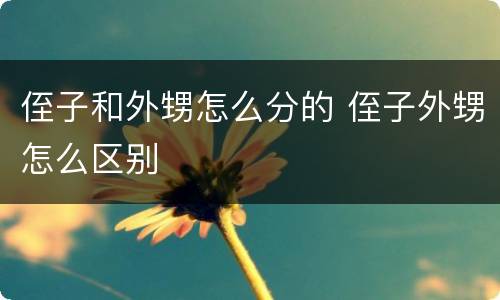 侄子和外甥怎么分的 侄子外甥怎么区别