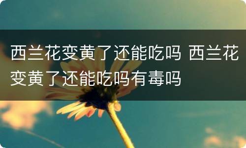 西兰花变黄了还能吃吗 西兰花变黄了还能吃吗有毒吗