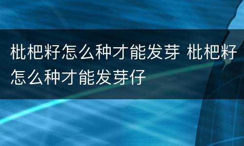 枇杷籽怎么种才能发芽 枇杷籽怎么种才能发芽仔