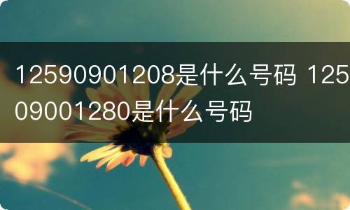 12590901208是什么号码 125909001280是什么号码